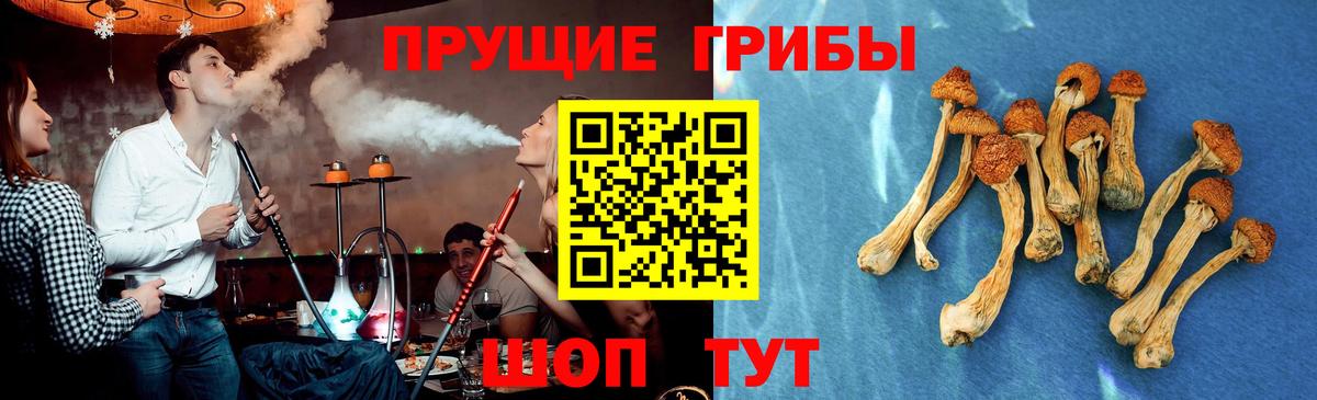 Троицк  Псилоцибиновые грибы мухоморы  Вход с VPN 